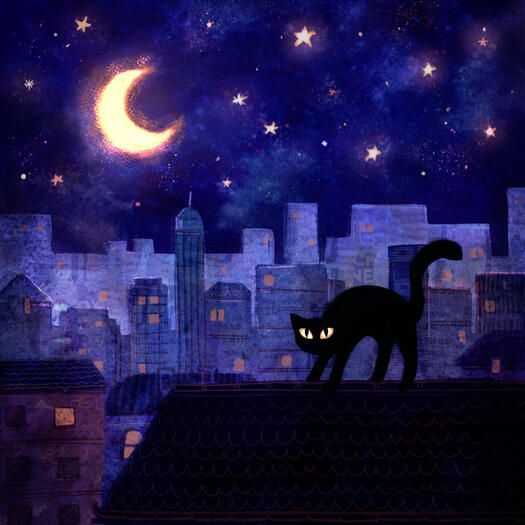 Night shine Night shine