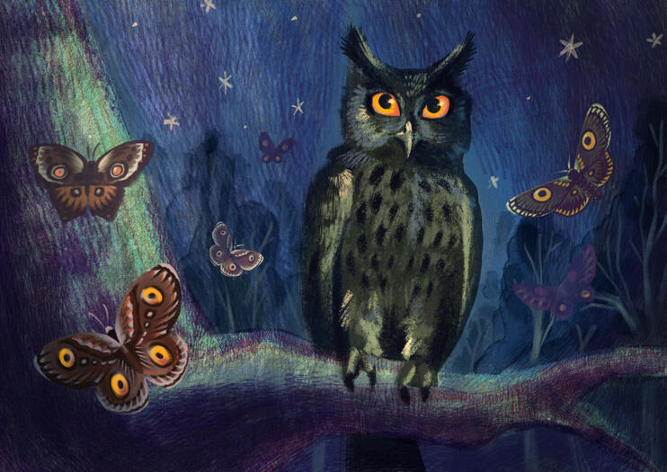 Illustration of an owl sitting on a tree branch during night time, with several moths whose wings resemble eyes flying all around it.